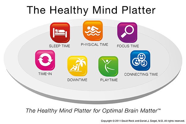 The Health Mind Platter