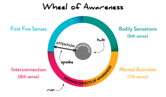 Wheel of awareness