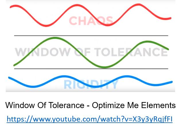 Window of tolerance1