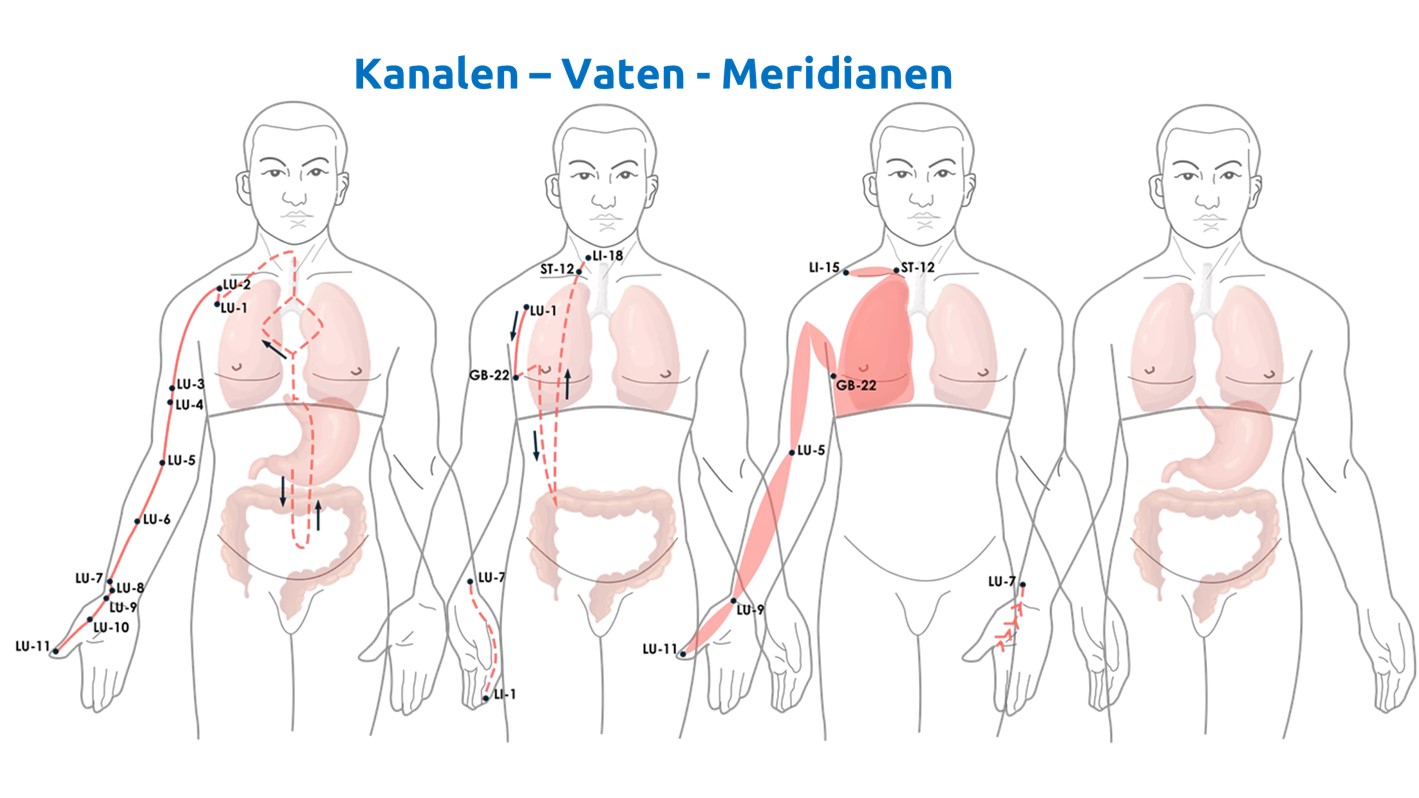 Klik op de afbeelding om naar dit onderwerp te gaan op de site van TOPKI