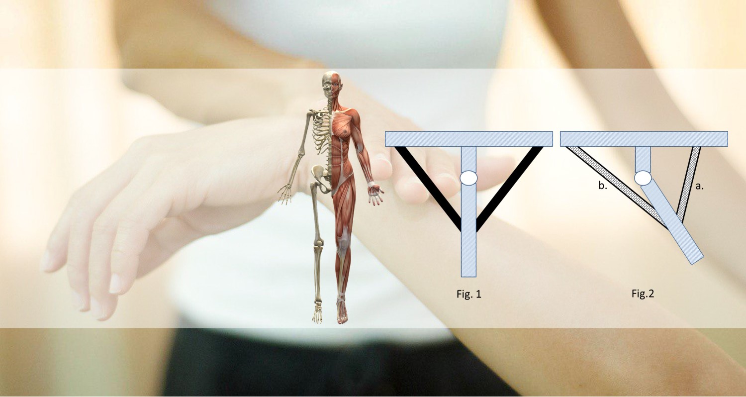 Een juiste stand van de wervelkolom biedt een sterke basis voor goede gezondheid. Met 14 spieren testen en Fix-As-You-Go balanceren is daarin de eerste stap gezet.