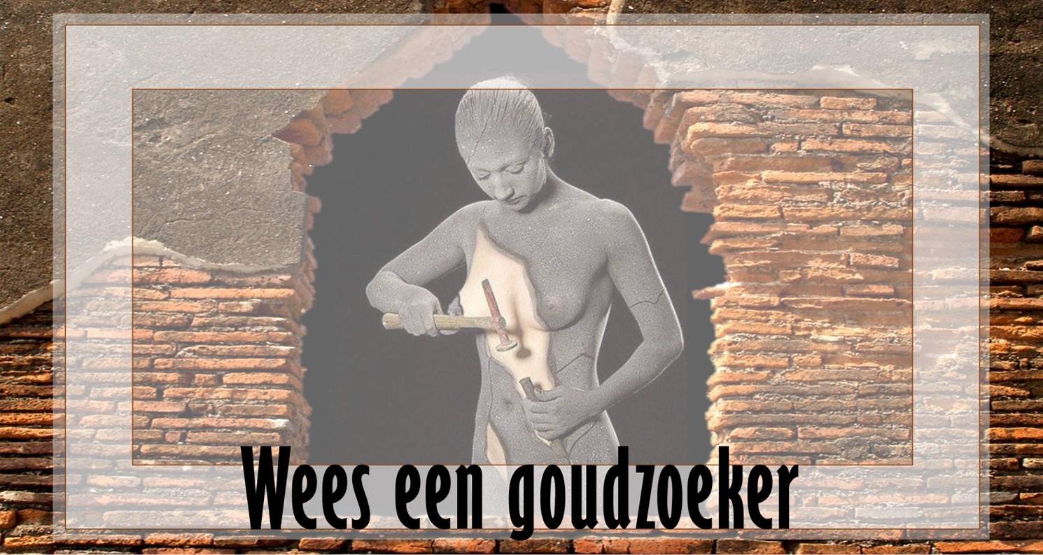 Wees een goudzoeker