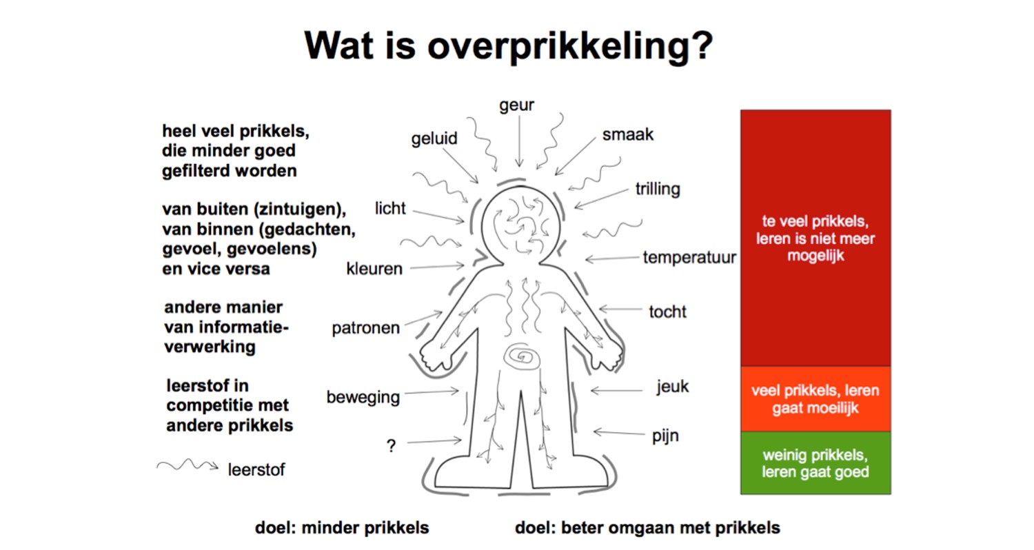 Uitleg over overprikkeling