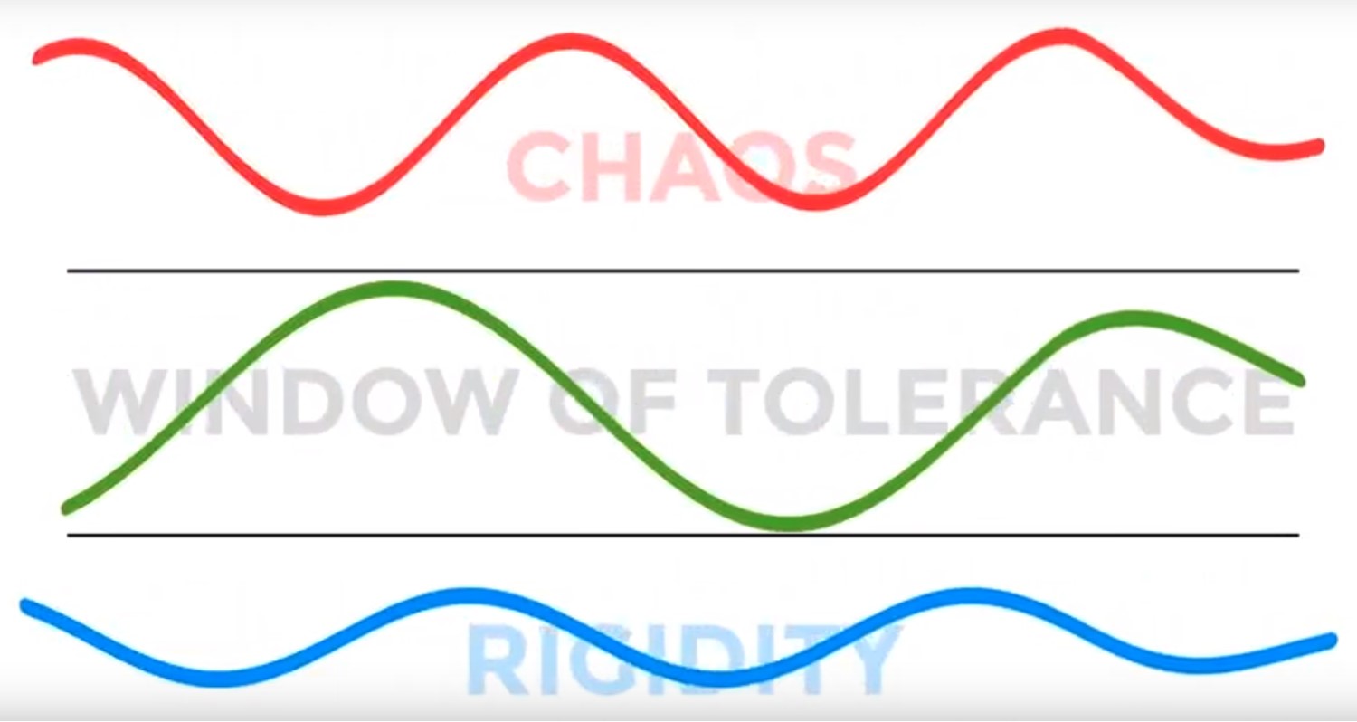 Integratie of chaos / rigiditeit