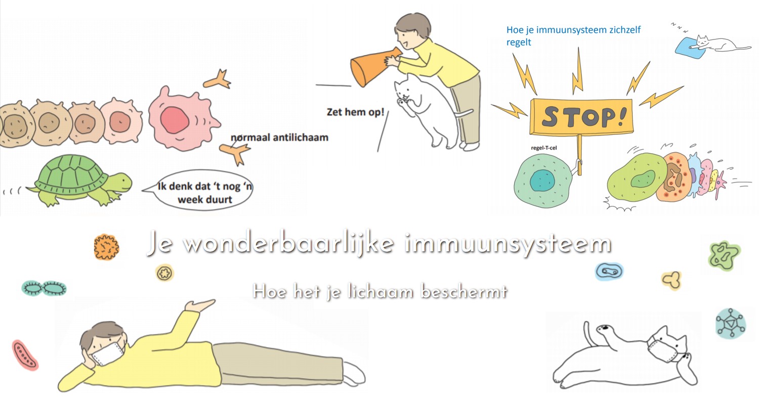 Je wonderbaarlijke immuunsysteem